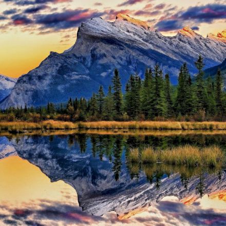 Beautiful Nature